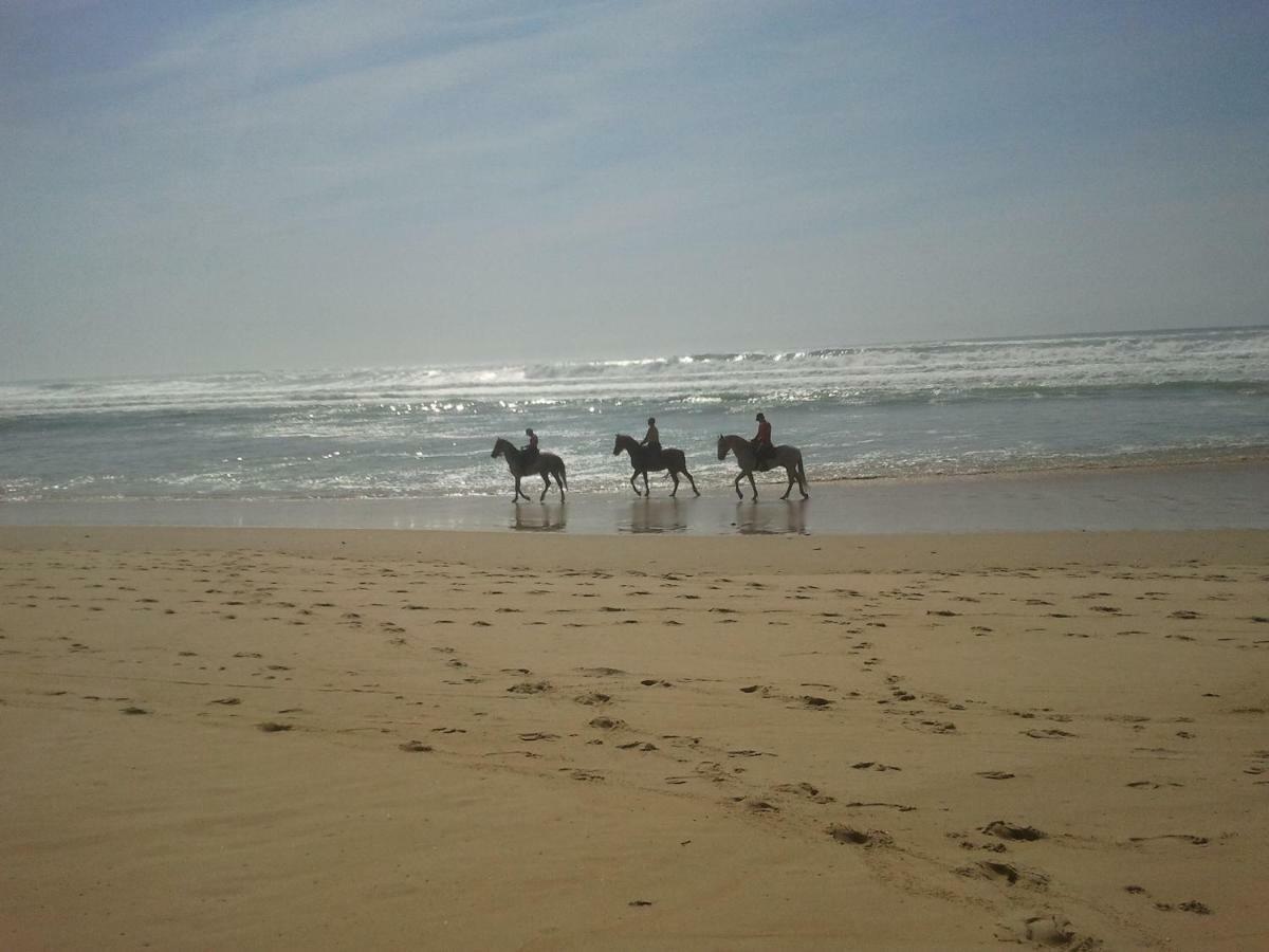 La Pinede Oceane,400M Des Plages มีมีซ็อง ภายนอก รูปภาพ