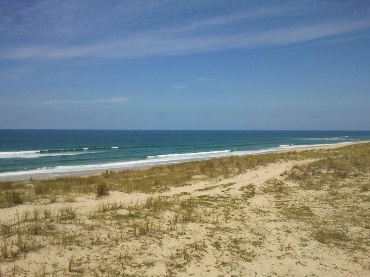 La Pinede Oceane,400M Des Plages มีมีซ็อง ภายนอก รูปภาพ
