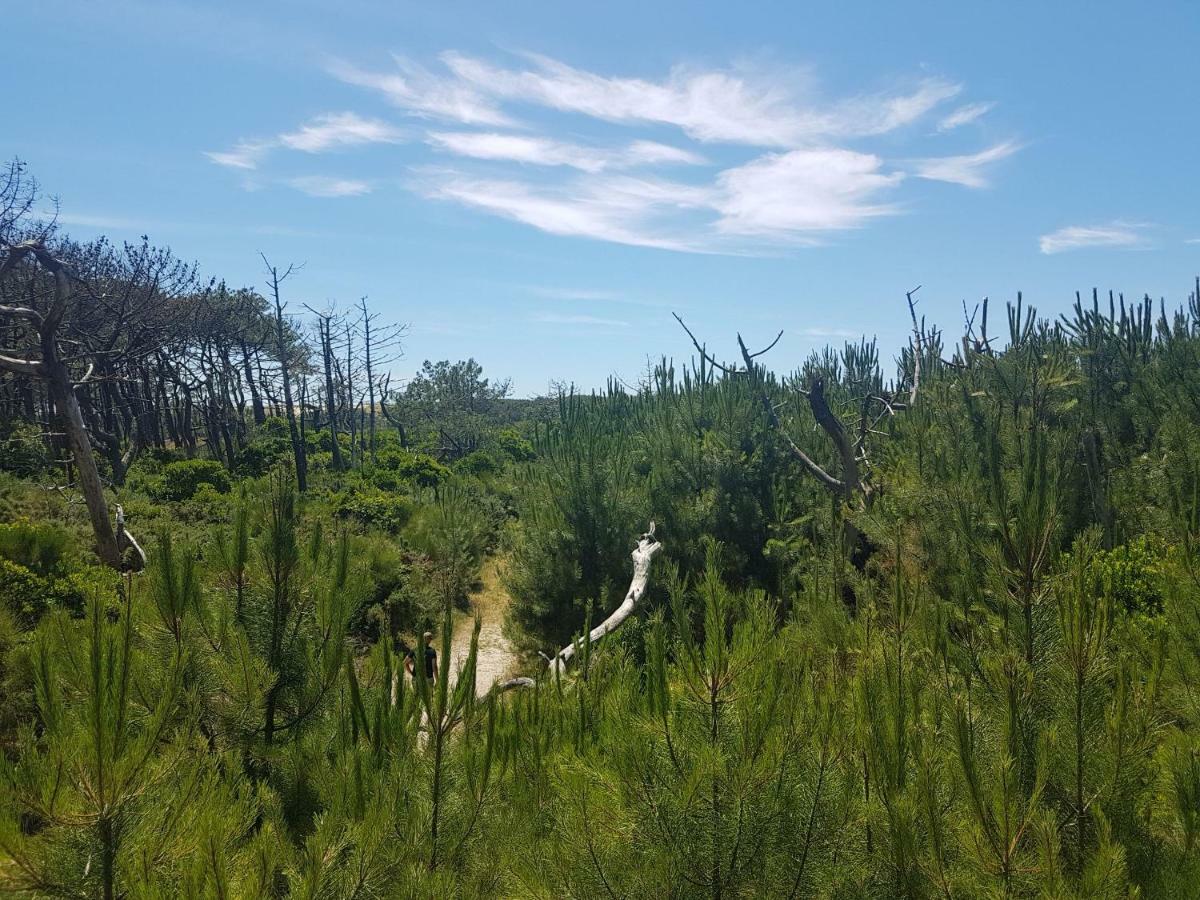 La Pinede Oceane,400M Des Plages มีมีซ็อง ภายนอก รูปภาพ